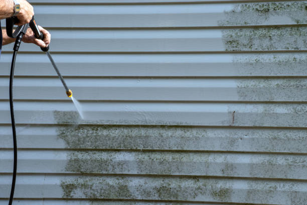Best Shed Removal  in Natchez, MS